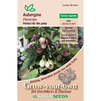 Aubergine Pinstripe - Party Supplies review and price