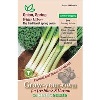 Spring Onion White Lisbon - Party Supplies review and price