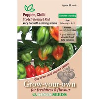Chilli Pepper Red Scotch Bonne - Party Supplies review and price