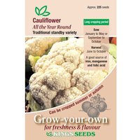 Cauliflower All Year Round - Party Supplies review and price