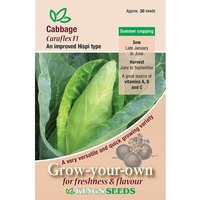 Cabbage Caraflex F1 - Party Supplies review and price