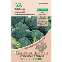 Calabrese Ironman F1 - Party Supplies review and price