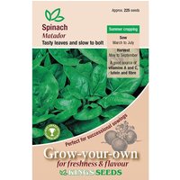 Spinach Matador - Party Supplies review and price