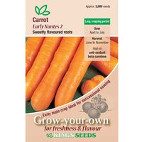 Carrot Early Nantes - Party Supplies review and price