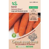 Carrot Autumn King - Party Supplies review and price