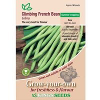 Green Bean Cobra - Party Supplies review and price
