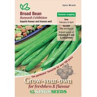 Broad Bean Bunyards Exhibition - Party Supplies review and price