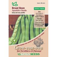 Broad Bean Aquadulce Claudia - Party Supplies review and price