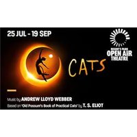 CATS - Costumes review and price