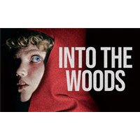 Into The Woods - Costumes review and price