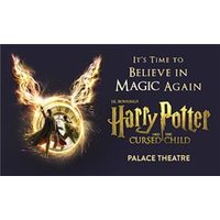 Harry Potter and the Cursed Ch - Costumes review and price
