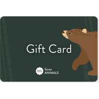 Bare Kind Gift Card (Gift Vouc - Funny Chicken Leg Socks review and price