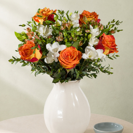 Autumn Rose and Freesias - Costumes review and price