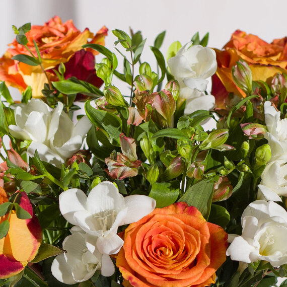 Autumn Rose and Freesias - Costumes review and price