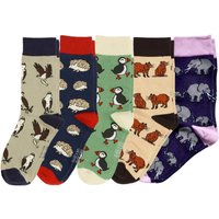 Bestsellers 5 Pack Bamboo Sock - Funny Chicken Leg Socks review and price