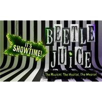 Beetlejuice: The Musical - Costumes review and price