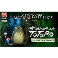 My Neighbour Totoro - Costumes review and price