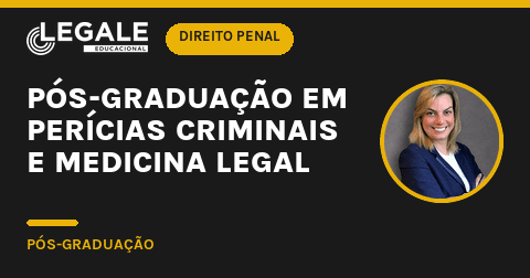Pós-graduação em Perícias Crim - Funny Chicken Leg Socks review and price