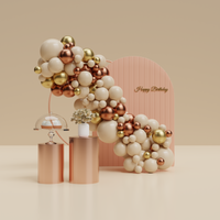 Ballonnenboog (Rose-Gold Delux - Party Supplies review and price