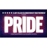 Pride - Bridge Theatre - Costumes review and price