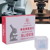 Sample Transparent Slides Biol - Party Supplies review and price