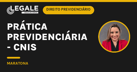 Prática Previdenciária - CNIS - Funny Chicken Leg Socks review and price