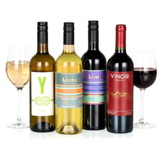 Four Wines in a Box - Costumes review and price