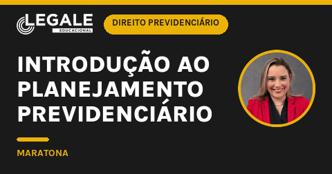 Introdução ao Planejamento Pre - Funny Chicken Leg Socks review and price