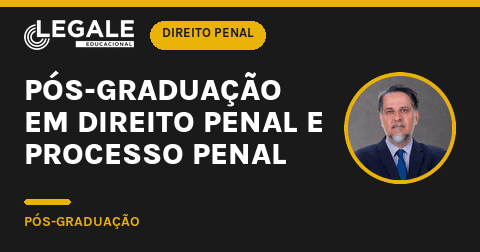 Pós-graduação em Direito Penal - Funny Chicken Leg Socks review and price