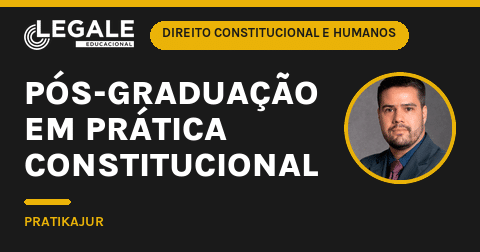 Pós-Graduação em Prática Const - Funny Chicken Leg Socks review and price