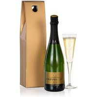 Champagne Choice - Costumes review and price