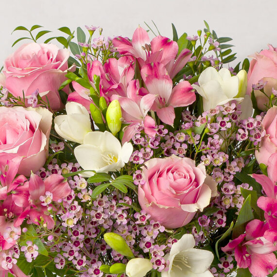 Pink Roses and Freesias - Costumes review and price