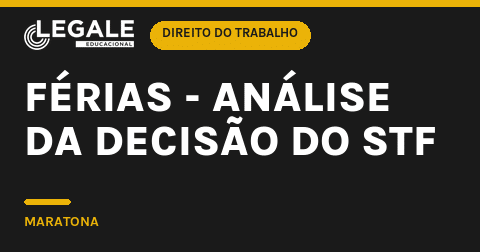 Férias - Análise da decisão do - Funny Chicken Leg Socks review and price