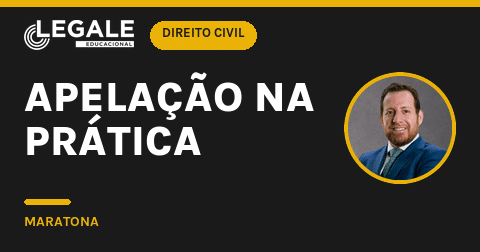 Apelação na Prática - Funny Chicken Leg Socks review and price