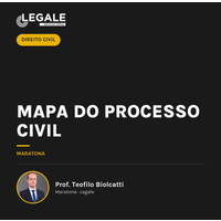 Mapa do Processo Civil - Funny Chicken Leg Socks review and price