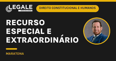 Recurso Especial e Extraordiná - Funny Chicken Leg Socks review and price