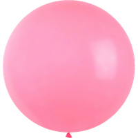 Roze XXL Ballonnen (10 stuks / - Party Supplies review and price