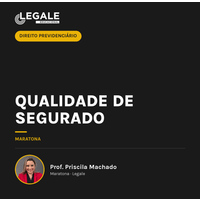 Qualidade de segurado - Funny Chicken Leg Socks review and price