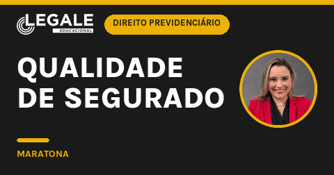 Qualidade de segurado - Funny Chicken Leg Socks review and price