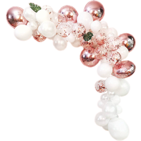 Ballonnenboog (Wit-Rosé) - Party Supplies review and price
