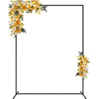 Backdrop Zwart - 1.5x2m (recht - Party Supplies review and price