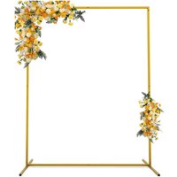 Backdrop Goud - 1.5x2m (rechth - Party Supplies review and price