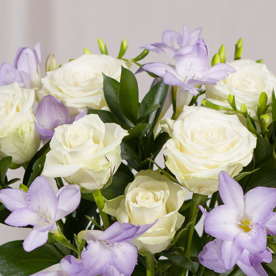 Freesias and Roses - Costumes review and price