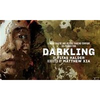 Darkling - Costumes review and price