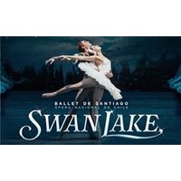 Ballet de Santiago Swan Lake - Costumes review and price