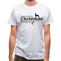 A dog is not just for christma - Flashing Led Foam Sticks Party review and price