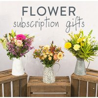 Hand Tied 6 Month Flower Gift - Costumes review and price