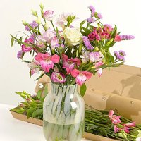 Letterbox Monthly Flower Gift - Costumes review and price